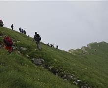 IMG_3793